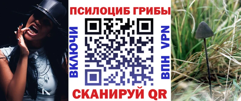 купить закладку  Алапаевск  blacksprut ССЫЛКА  Псилоцибиновые грибы Psilocybine cubensis 
